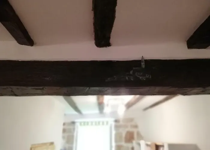 Διαμέρισμα Femi Ρόβινι