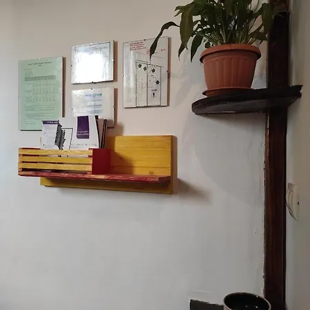 Studio Femi *